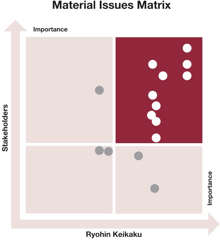 Material Issues (Materiality) Matrix Image