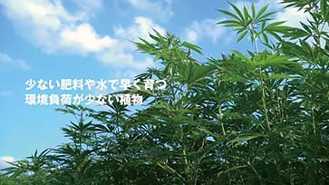 Hemp: Learn from the Wisdom of China