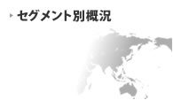 セグメント別概況
