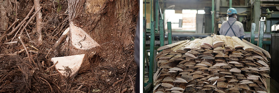 「山のダイゴミプロジェクト」から生まれた「山の木っ端（こっぱ）」シリーズ 新発売