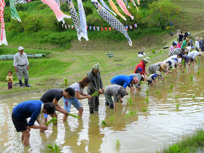 Kamogawa City, Chiba Prefecture
