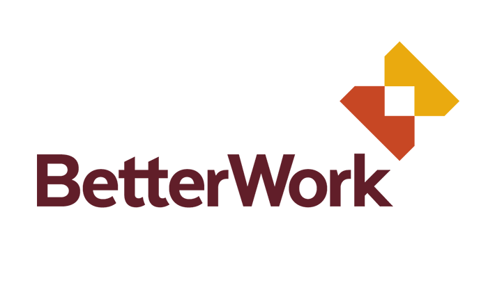 Better Work Programme